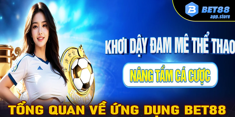 Giới thiệu cổng game choigamebaivnone